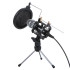 Barsstet Condenser Microphone