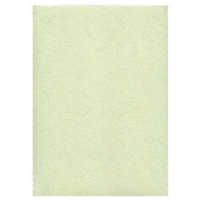Binding Cover Paper, Light Green - 230gsm,100sheets BFC230-3